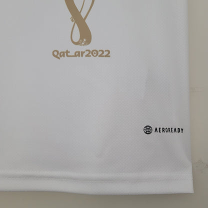 Argentina 2023 Champion Commemorative Special Edition Shirt